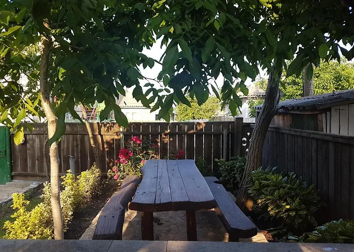 Casa Anica Nyaraló Sulina