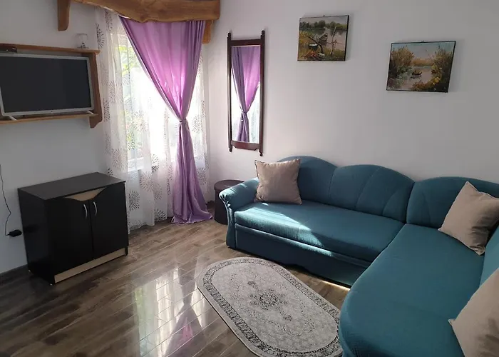 Casa Anica Nyaraló Sulina